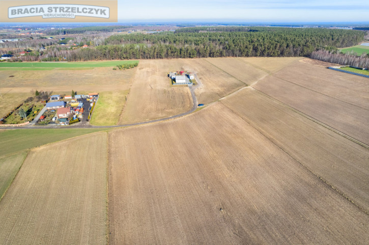Działka Sprzedaż Niepiekła 3